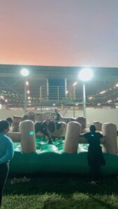 touro mecanico
